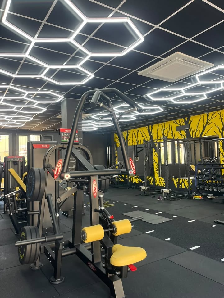 Sala pesi di NM Élite Studio con isotoniche Panatta e il soffitto a esagoni luminosi